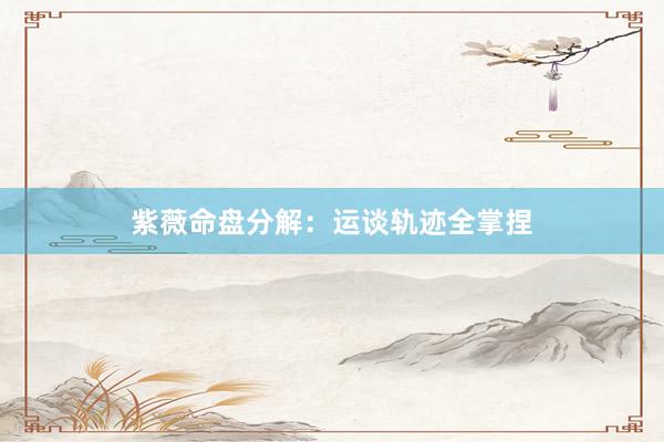 紫薇命盘分解：运谈轨迹全掌捏